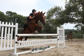 Jumping Lesson at WSF