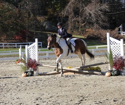 IEA Jumping Competition